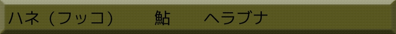 nlitbRjAAijAwuiiւ畩j
